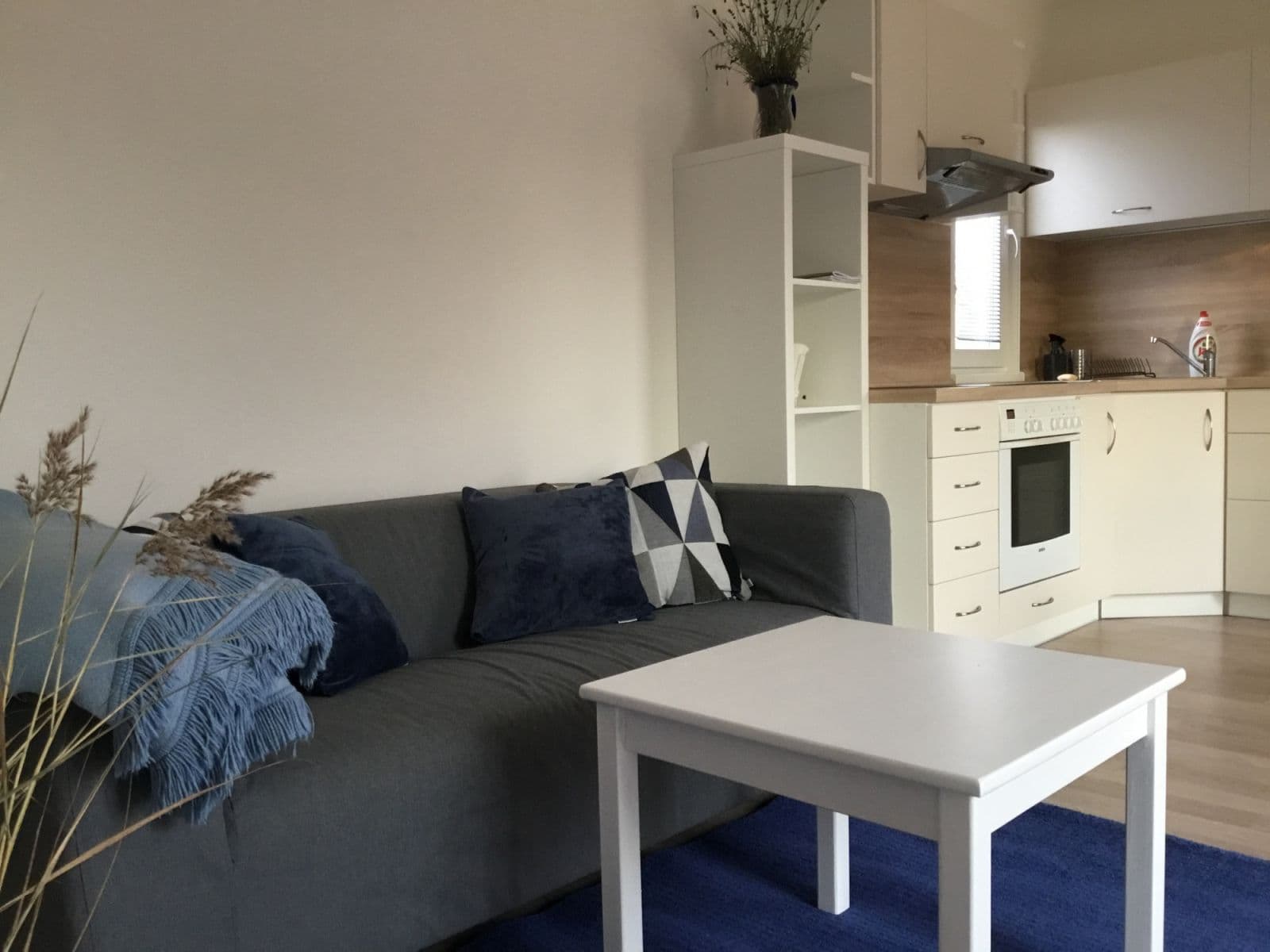 flat to rent, 48 m², V Cestách, Šestajovice, Středočeský Region