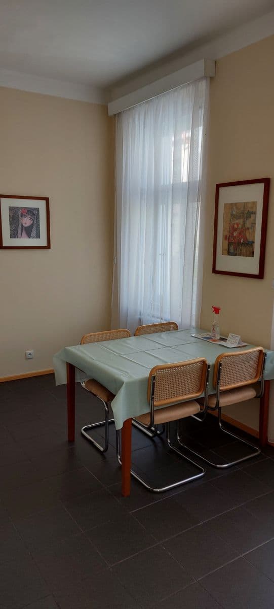 flat to rent, 43 m², Americká, Prague, Prague