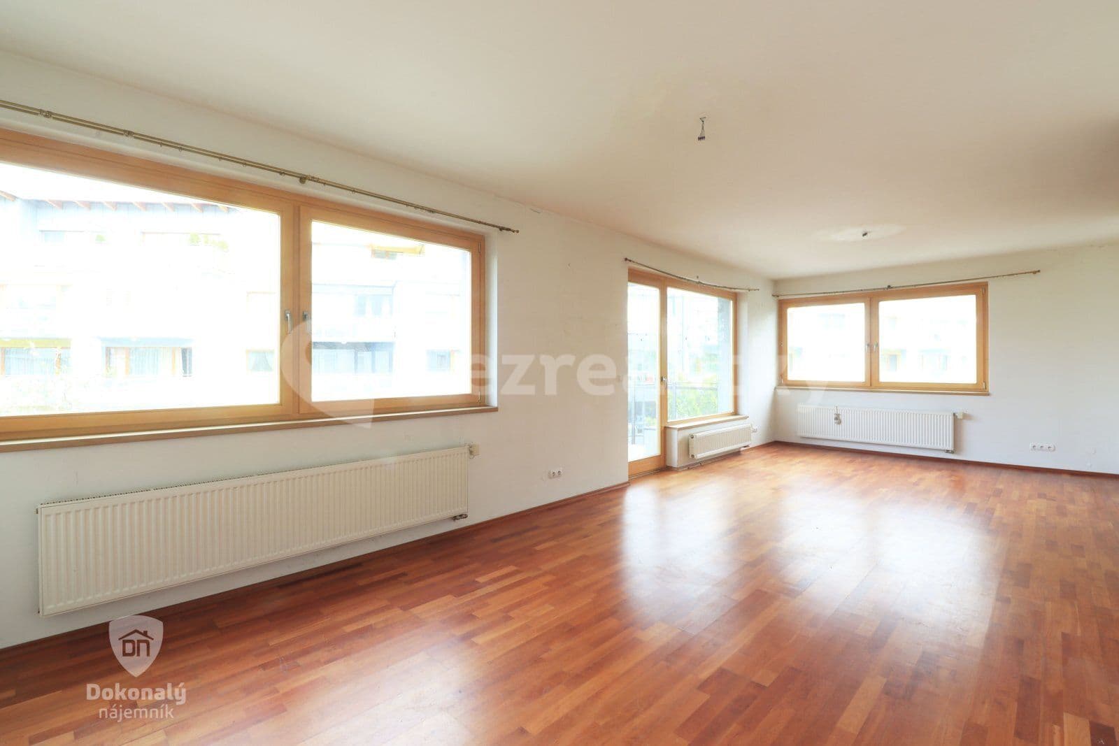 1 bedroom with open-plan kitchen flat to rent, 65 m², Tibetská, Prague, Prague