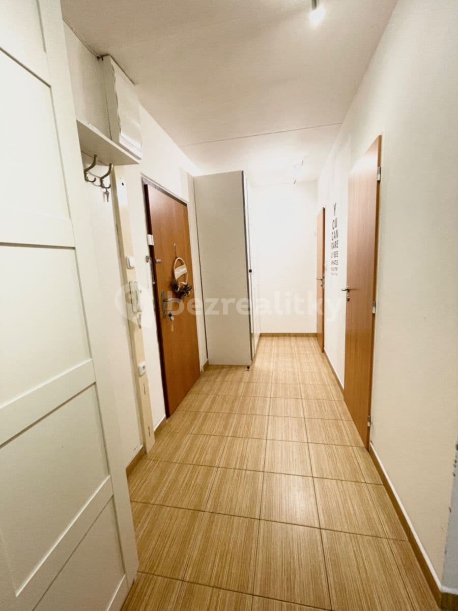 1 bedroom with open-plan kitchen flat to rent, 50 m², Rezlerova, Prague, Prague