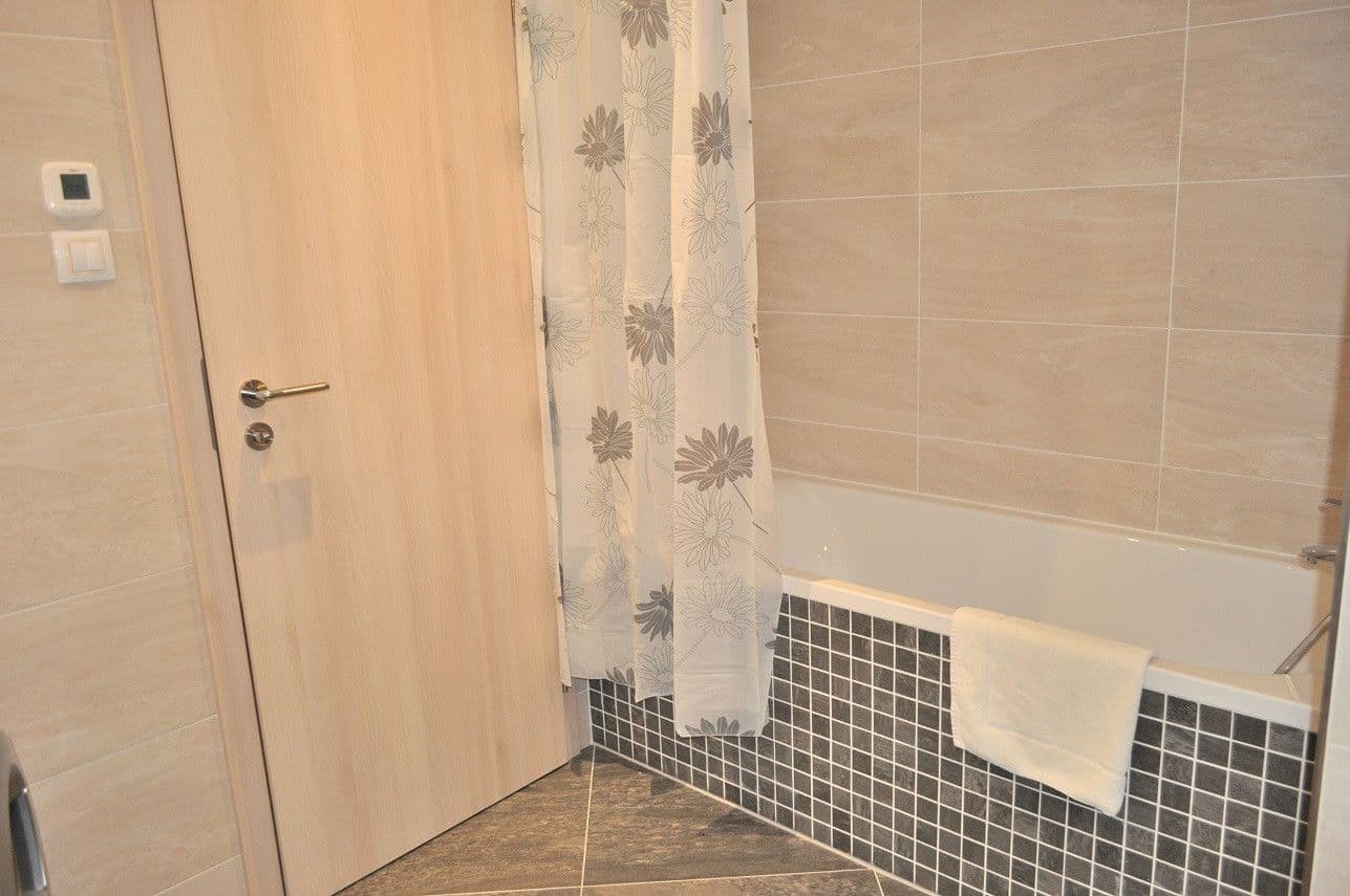 flat to rent, 42 m², Olšanská, Prague, Prague