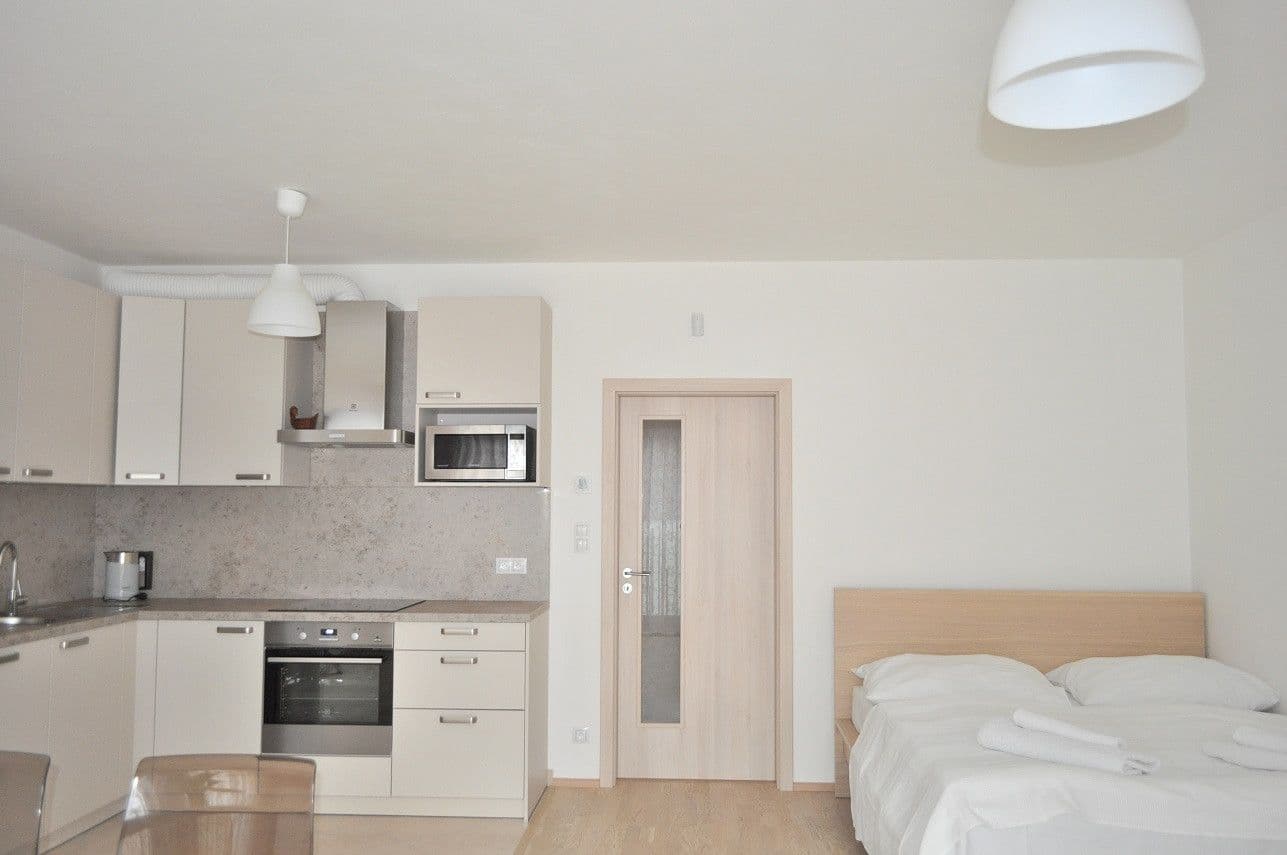 flat to rent, 42 m², Olšanská, Prague, Prague