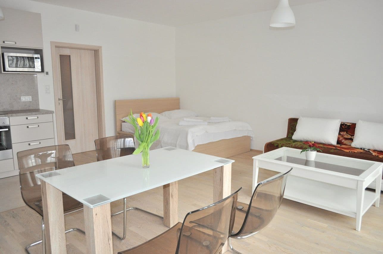 flat to rent, 42 m², Olšanská, Prague, Prague