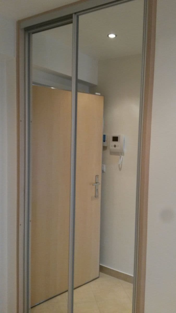 flat to rent, 42 m², Olšanská, Prague, Prague