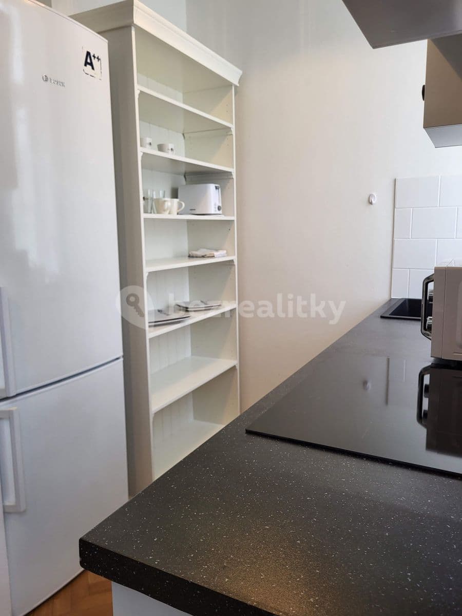 flat to rent, 45 m², Koubkova, Prague, Prague