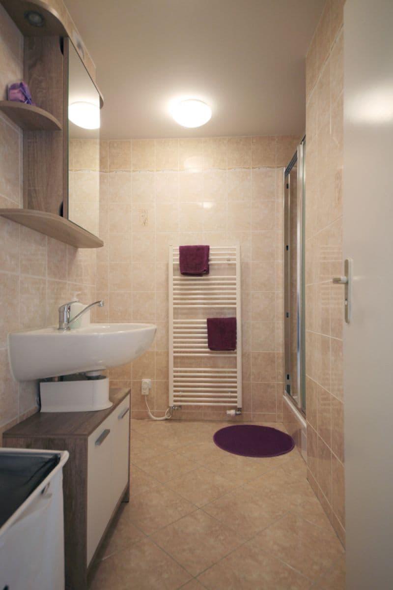flat to rent, 40 m², Buchovcova, Prague, Prague