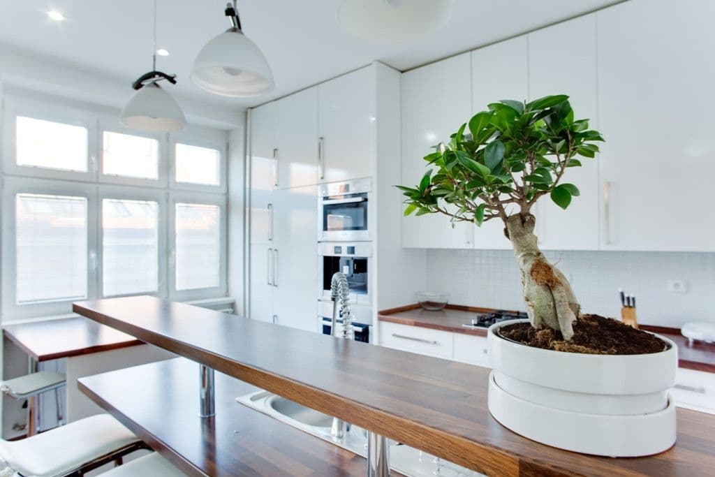 flat to rent, 70 m², Neklanova, Prague, Prague