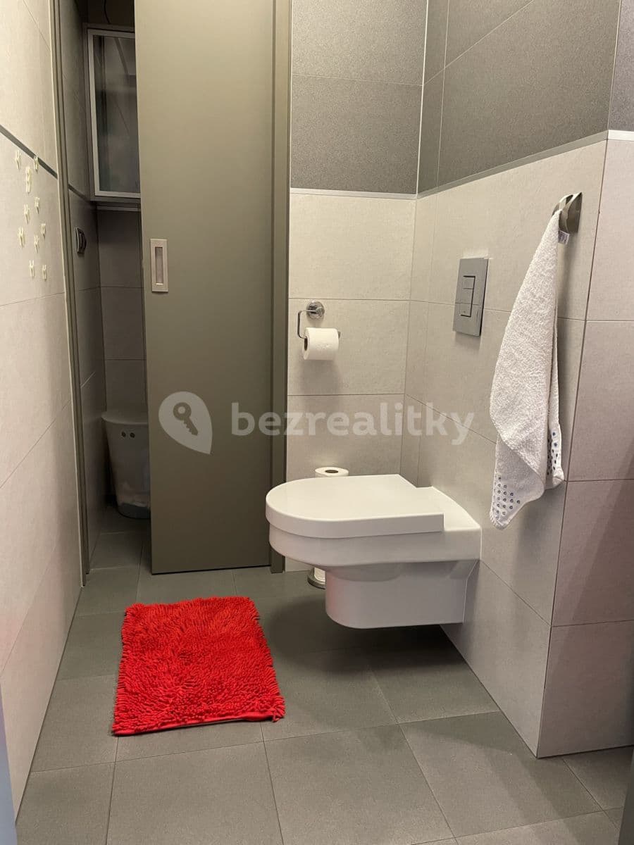 flat to rent, 95 m², Pod Slovany, Prague, Prague