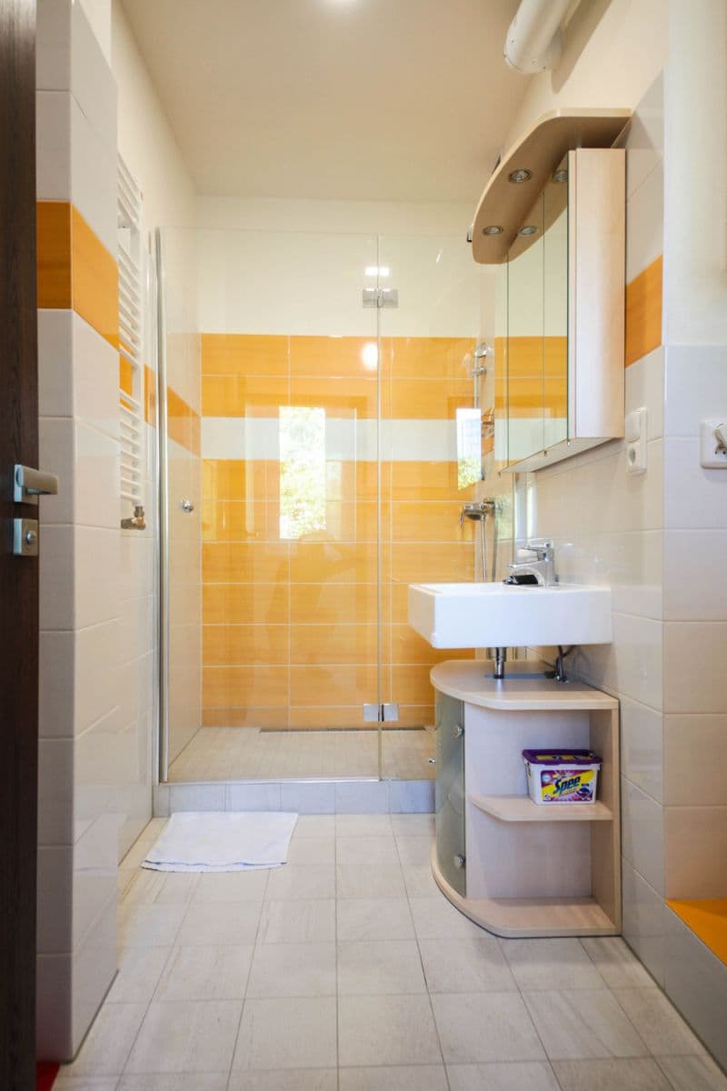 flat to rent, 50 m², U Nových domů III, Prague, Prague