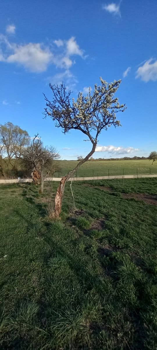 flat to rent, 75 m², Mezník, Litava, Banskobystrický Region
