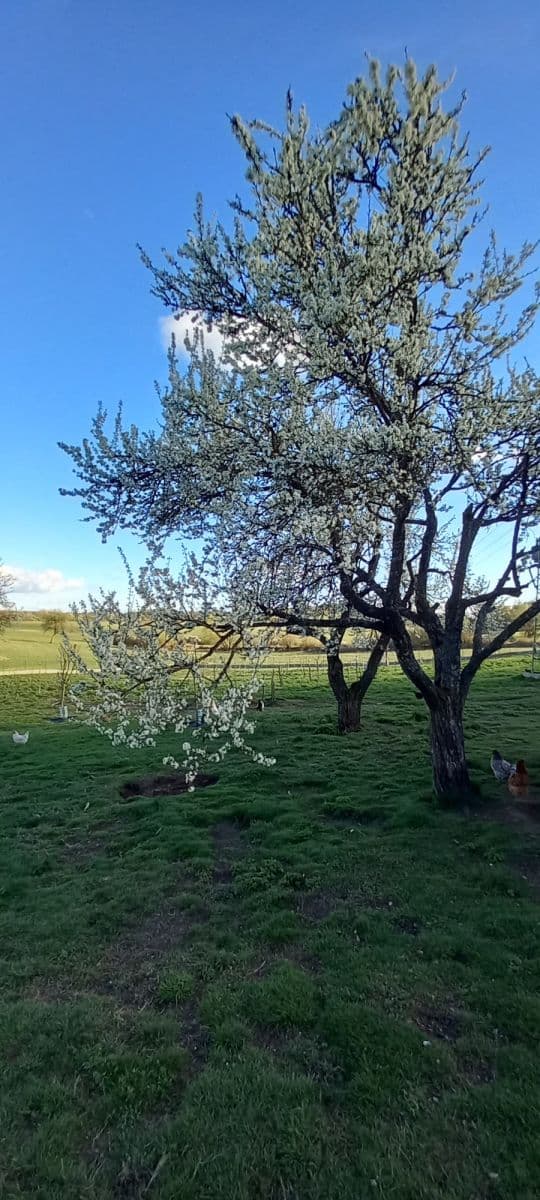 flat to rent, 75 m², Mezník, Litava, Banskobystrický Region