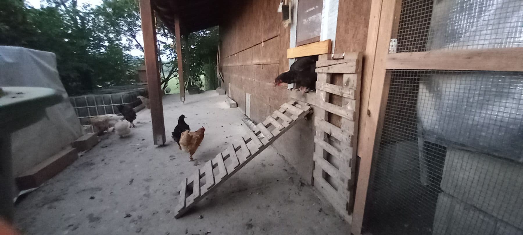 flat to rent, 75 m², Mezník, Litava, Banskobystrický Region