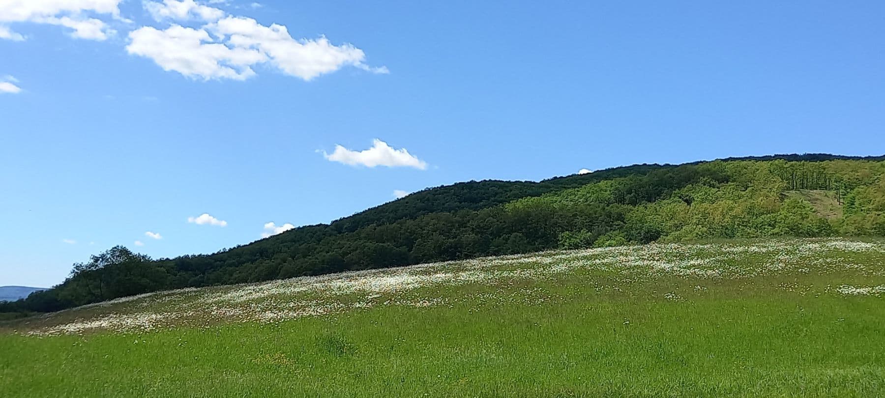 flat to rent, 75 m², Mezník, Litava, Banskobystrický Region