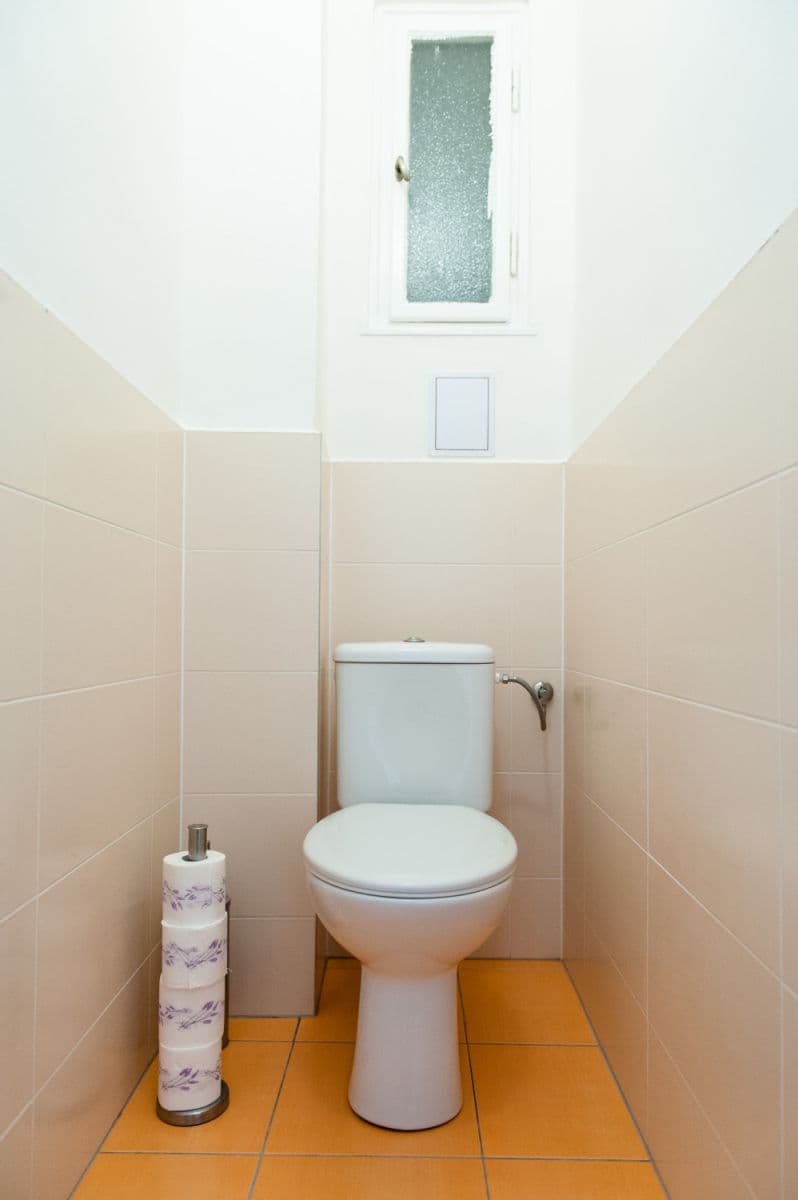flat to rent, 63 m², Krakovská, Prague, Prague