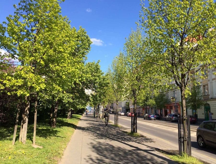 flat to rent, 113 m², Čáslavská, Prague, Prague