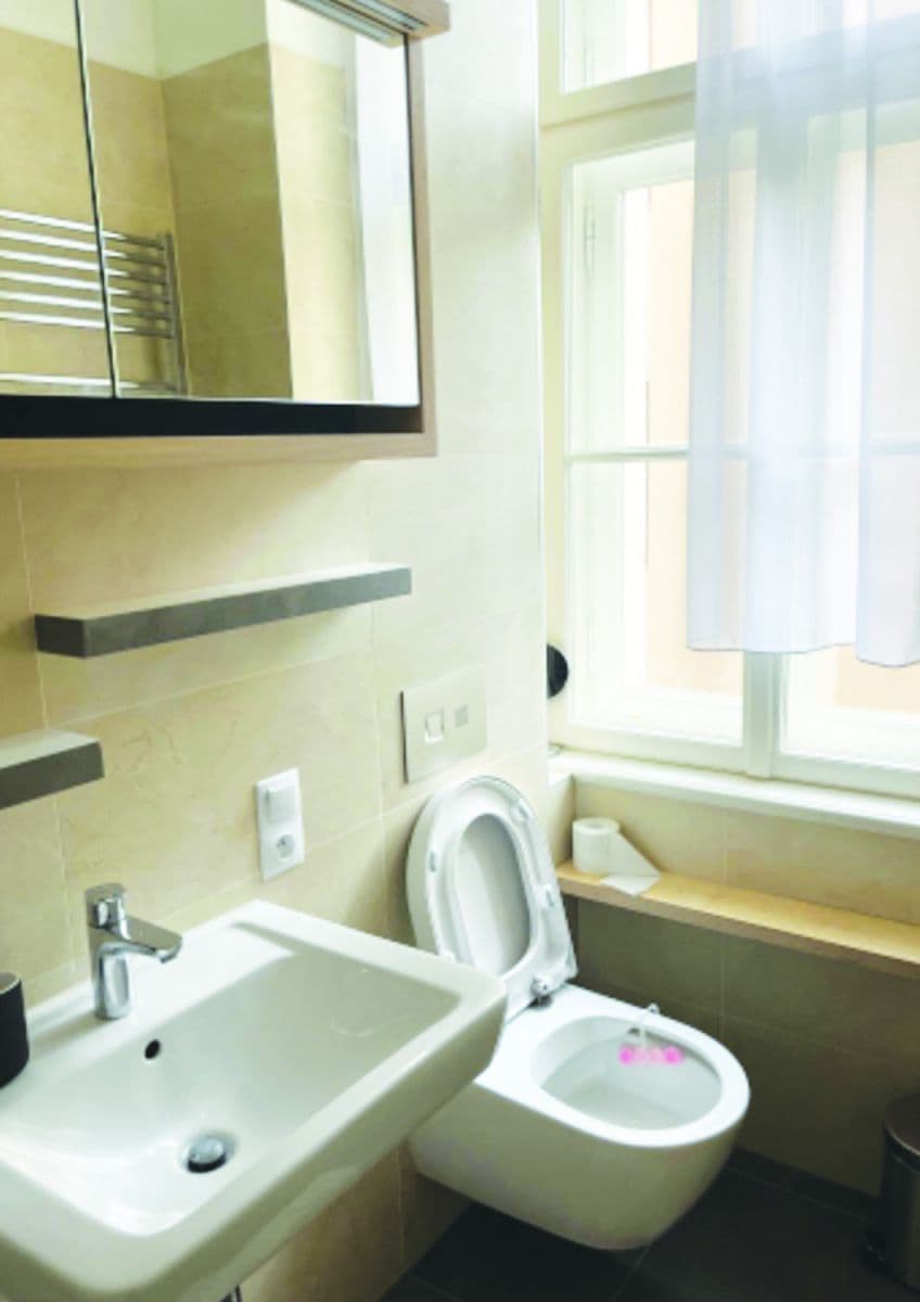 flat to rent, 35 m², Tyršova, Prague, Prague