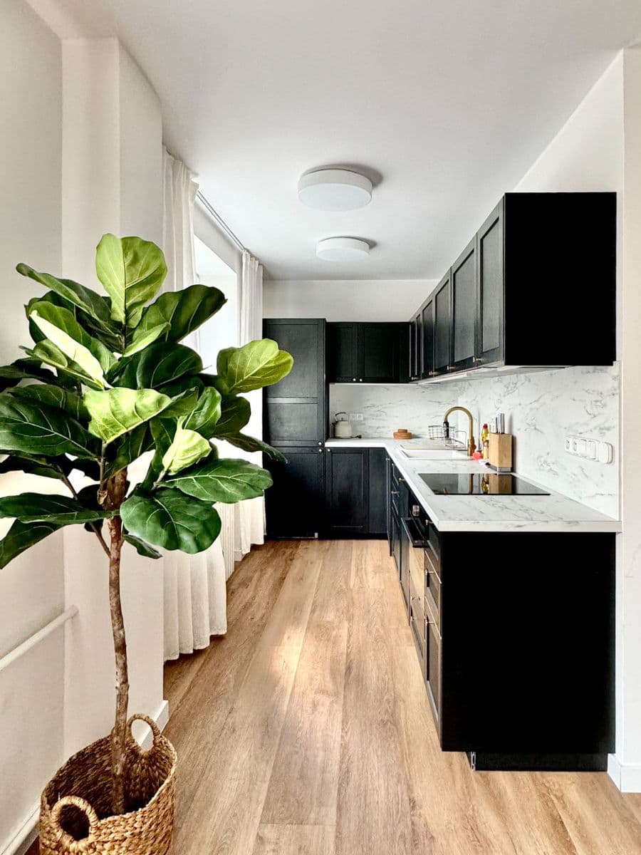 flat to rent, 52 m², Vinohradská, Prague, Prague