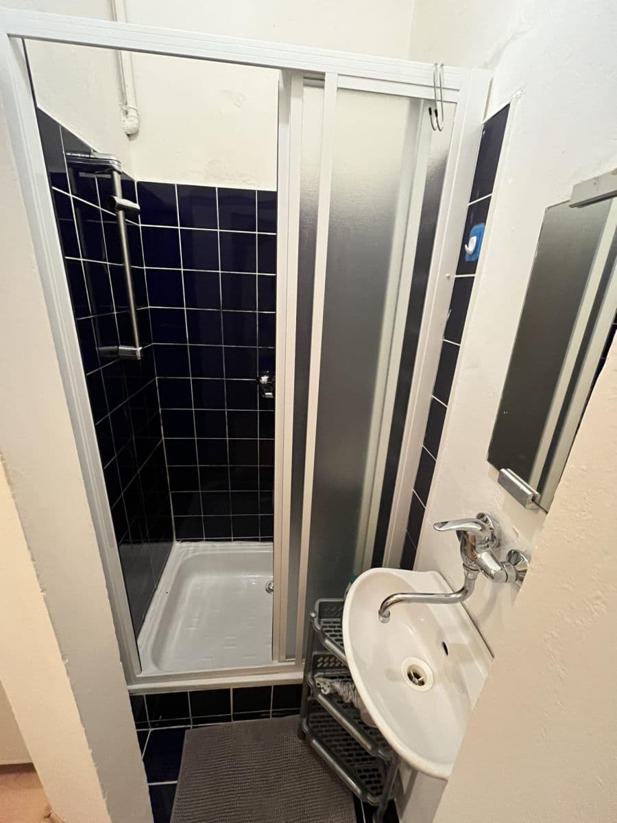 flat to rent, 38 m², U Parního mlýna, Prague, Prague