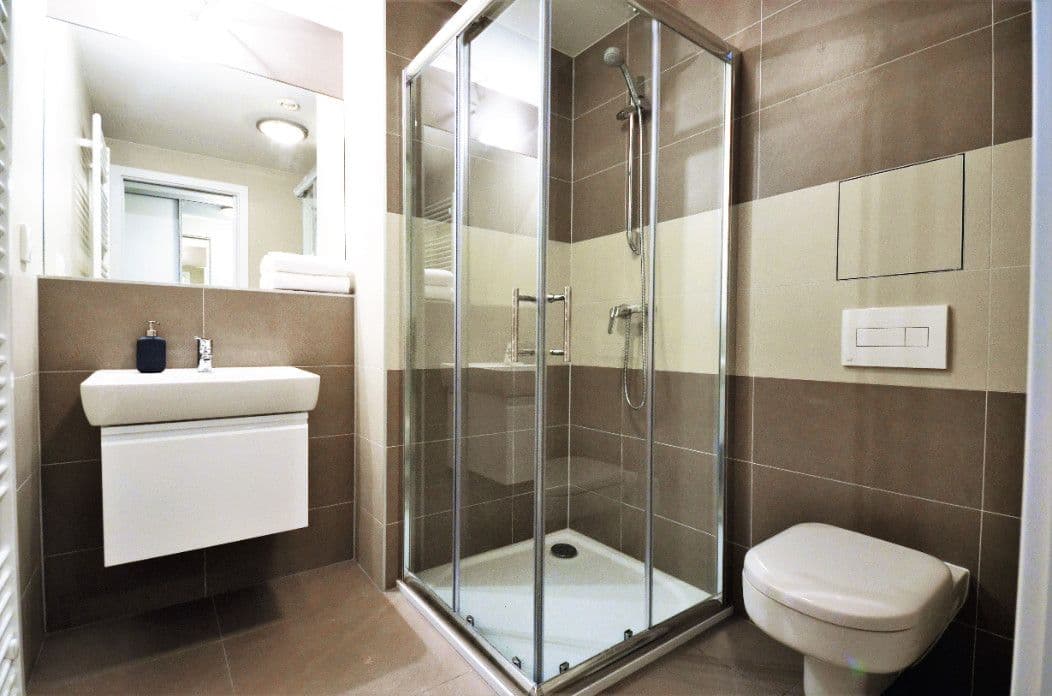 flat to rent, 30 m², Hartigova, Prague, Prague