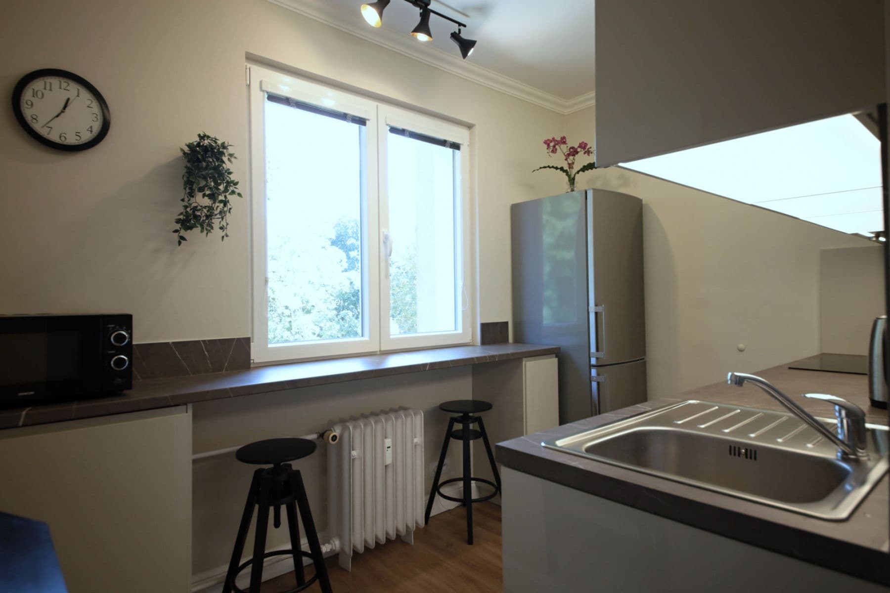 flat to rent, 55 m², Křenova, Prague, Prague