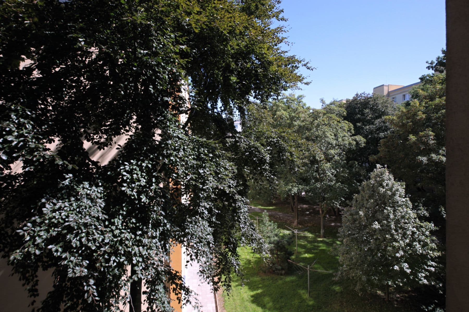 flat to rent, 55 m², Křenova, Prague, Prague