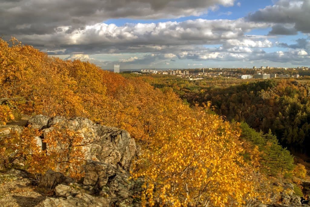 flat to rent, 55 m², Křenova, Prague, Prague