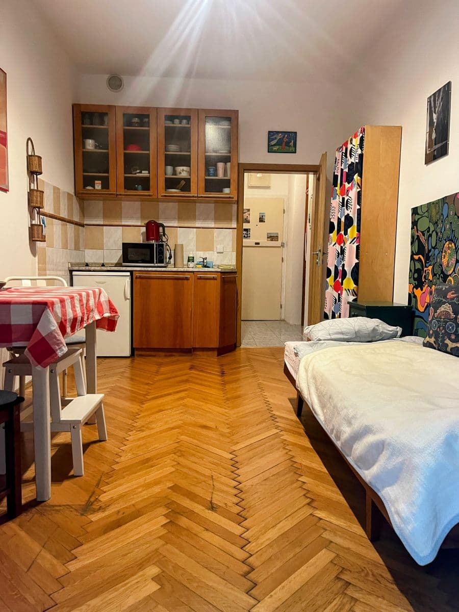 flat to rent, 20 m², Levá, Prague, Prague