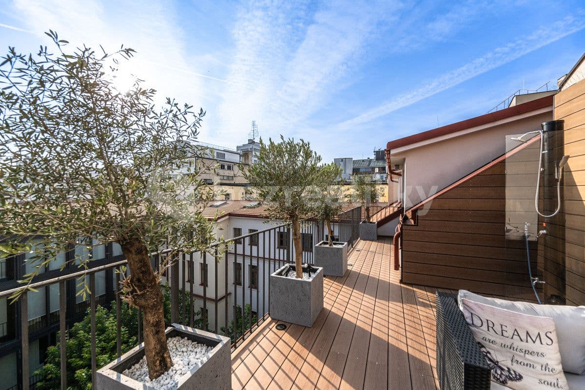 flat to rent, 100 m², Petrská, Prague, Prague