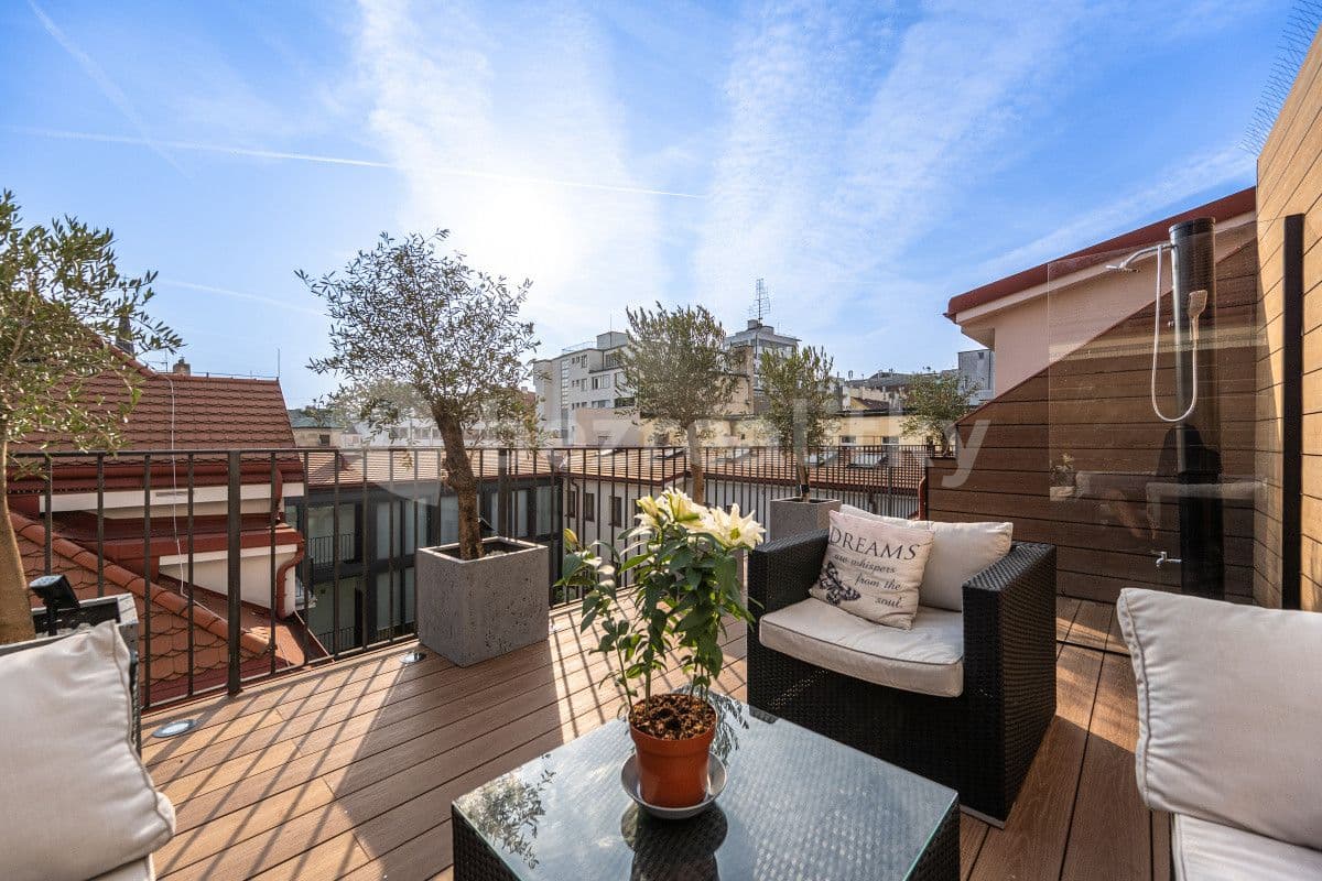 flat to rent, 100 m², Petrská, Prague, Prague