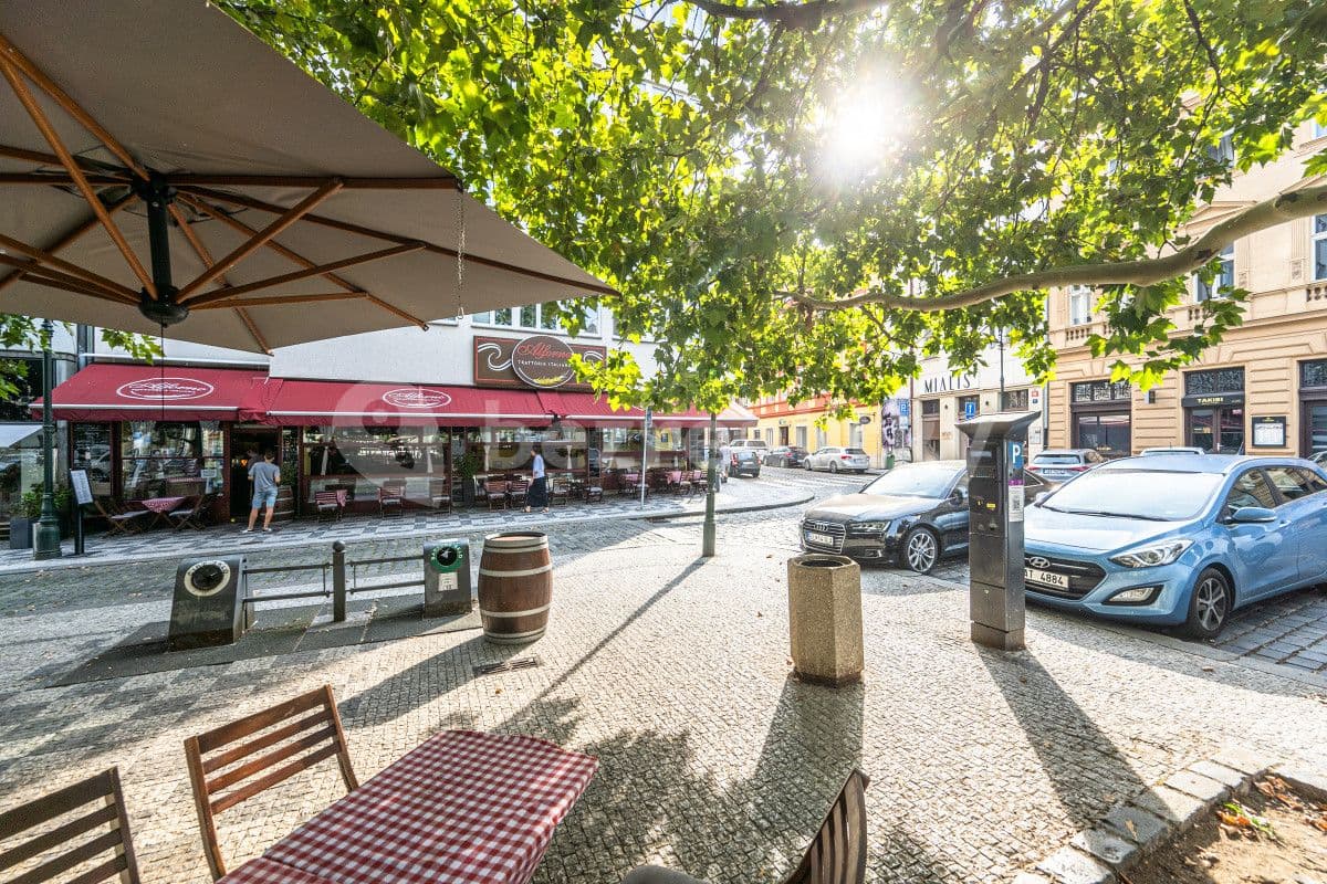 flat to rent, 100 m², Petrská, Prague, Prague