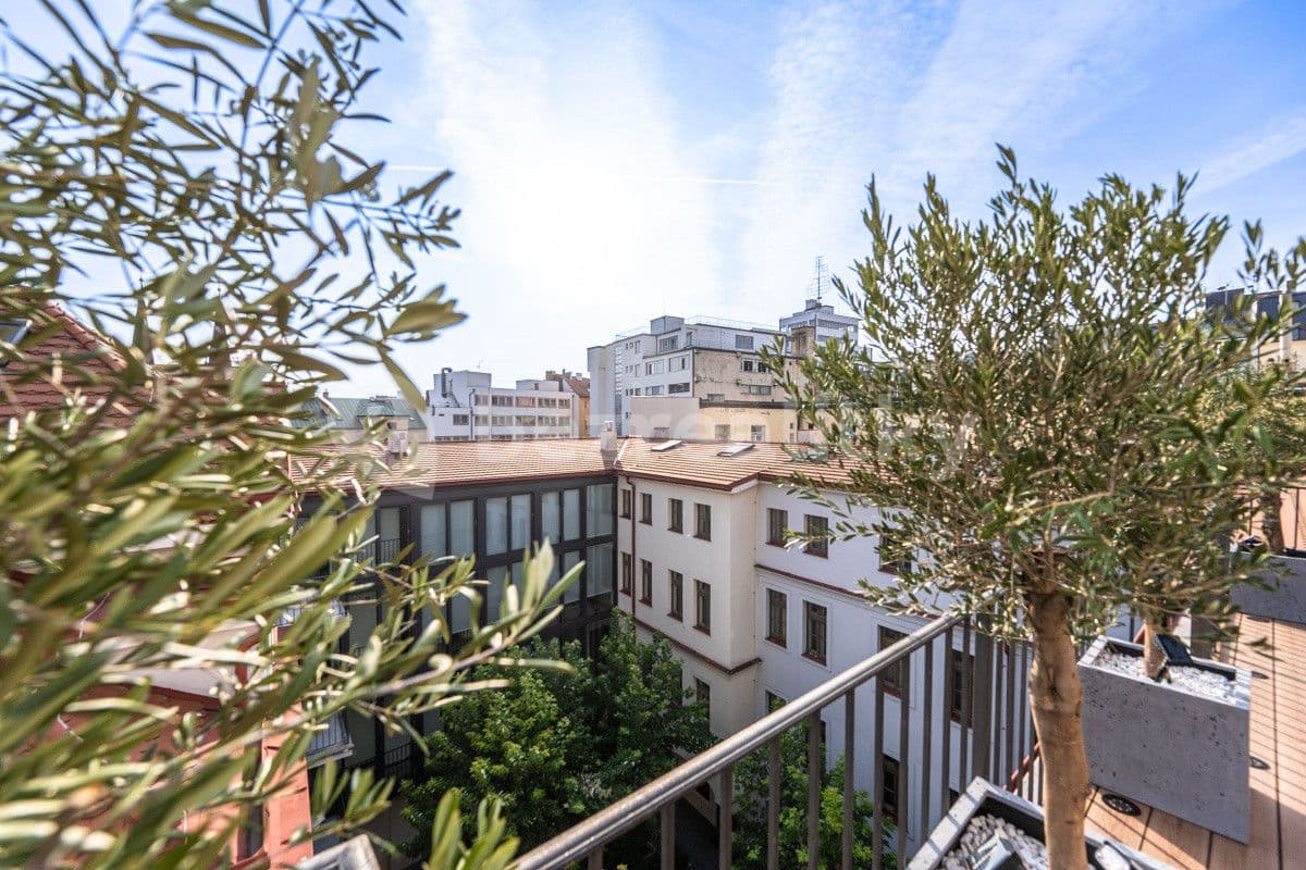 flat to rent, 100 m², Petrská, Prague, Prague
