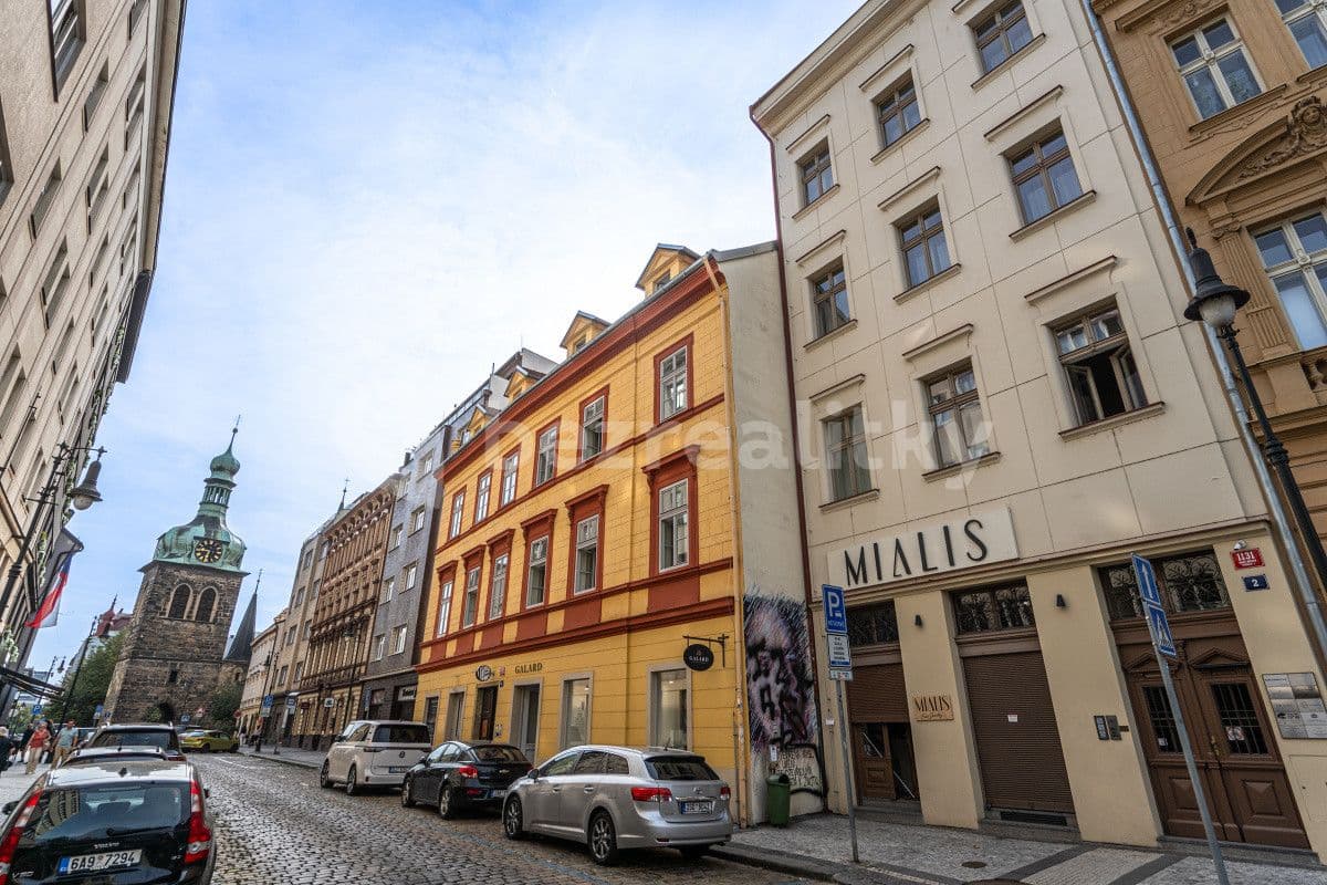 flat to rent, 100 m², Petrská, Prague, Prague