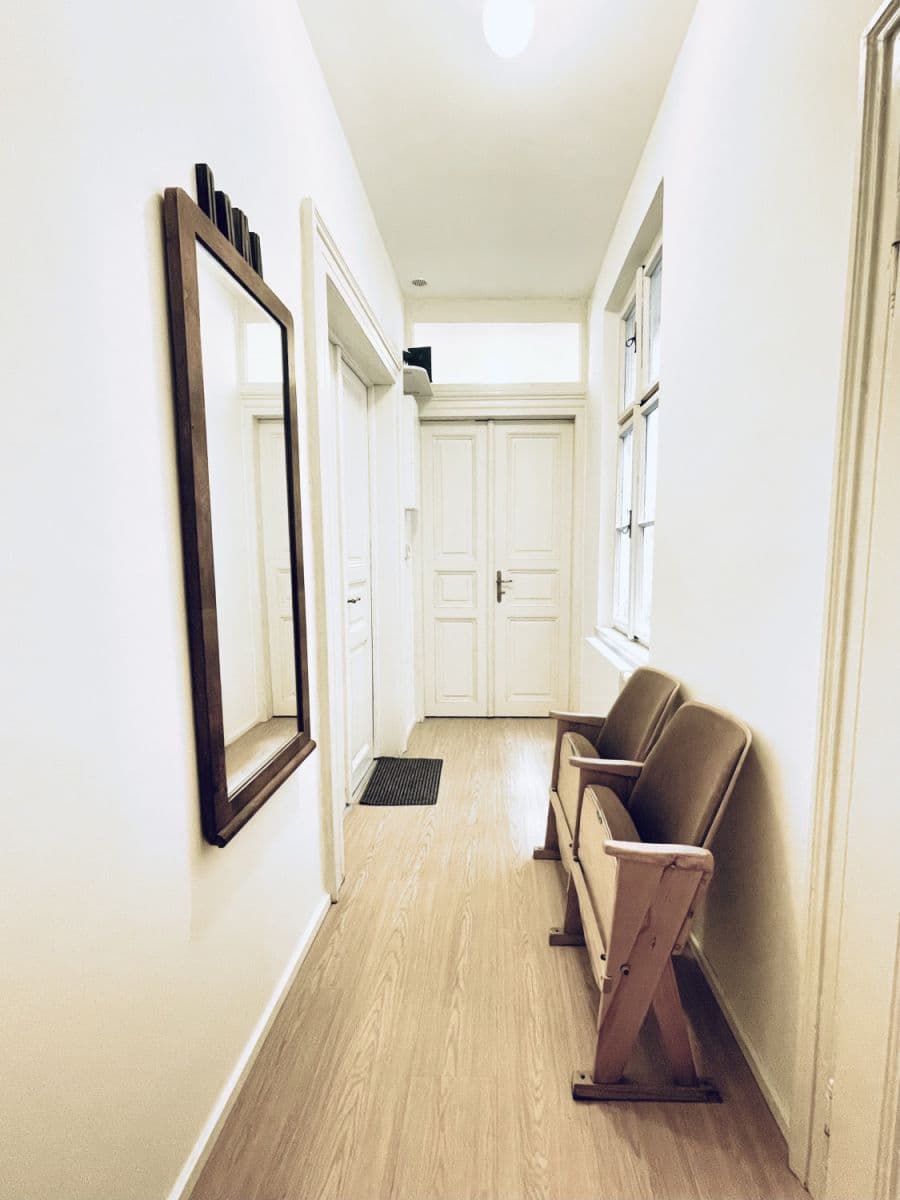 flat to rent, 50 m², Šaldova, Prague, Prague