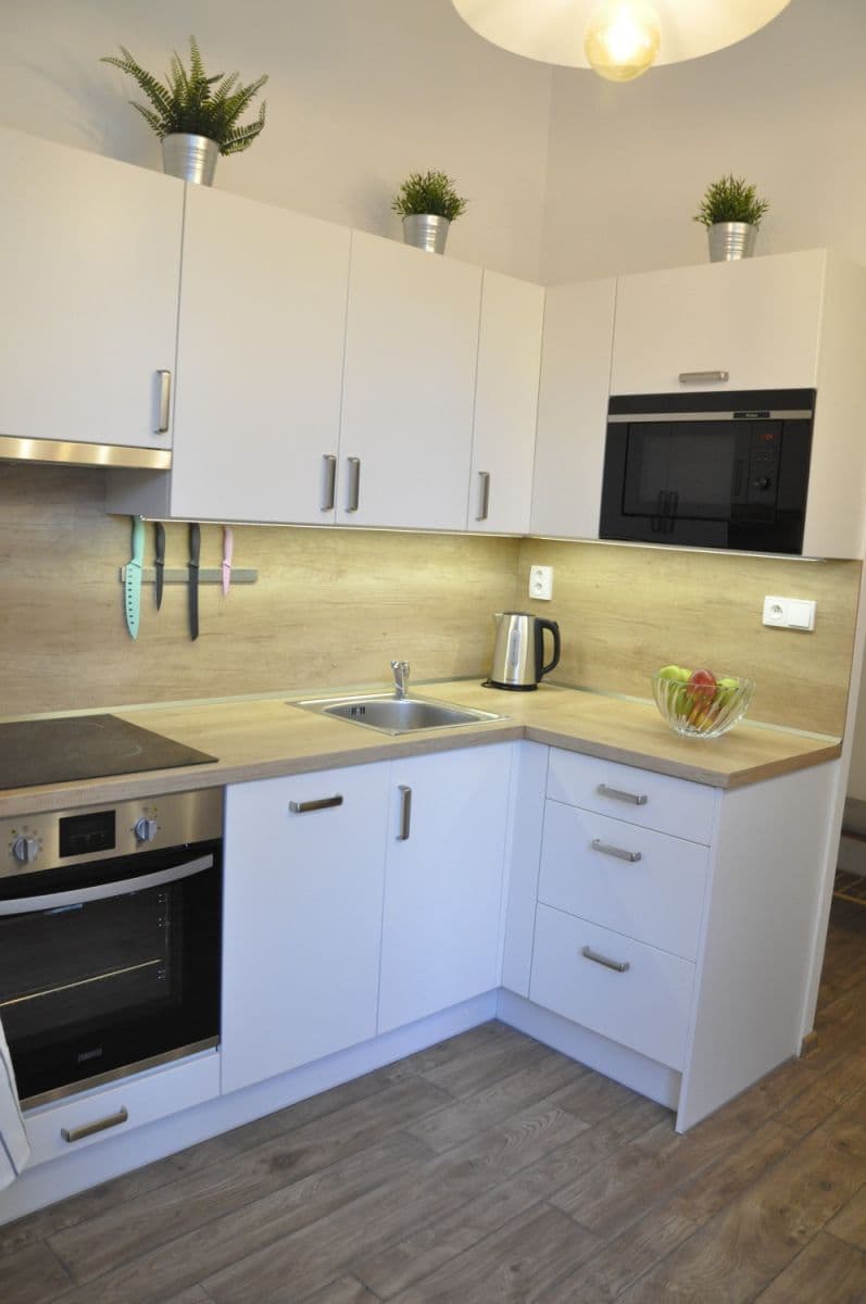 flat to rent, 40 m², Františka Křížka, Prague, Prague