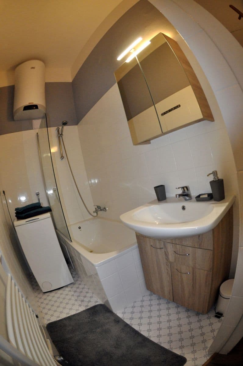 flat to rent, 40 m², Františka Křížka, Prague, Prague