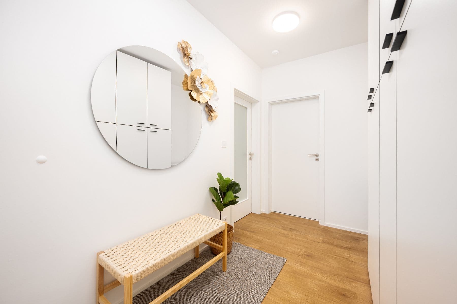 flat to rent, 40 m², Cejl, Brno, Jihomoravský Region