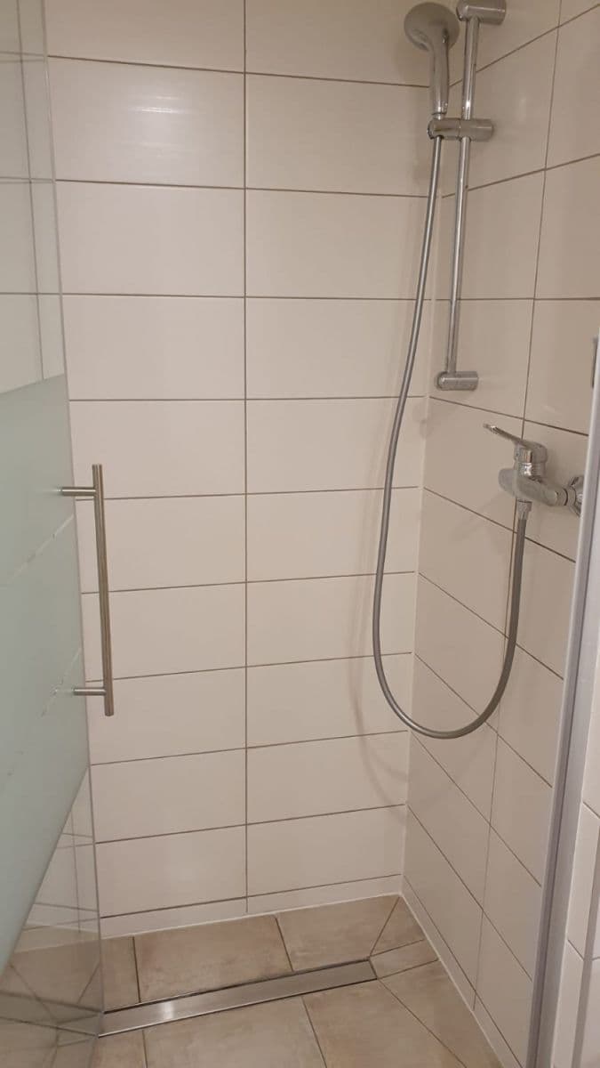 flat to rent, 46 m², Opatovická, Prague, Prague
