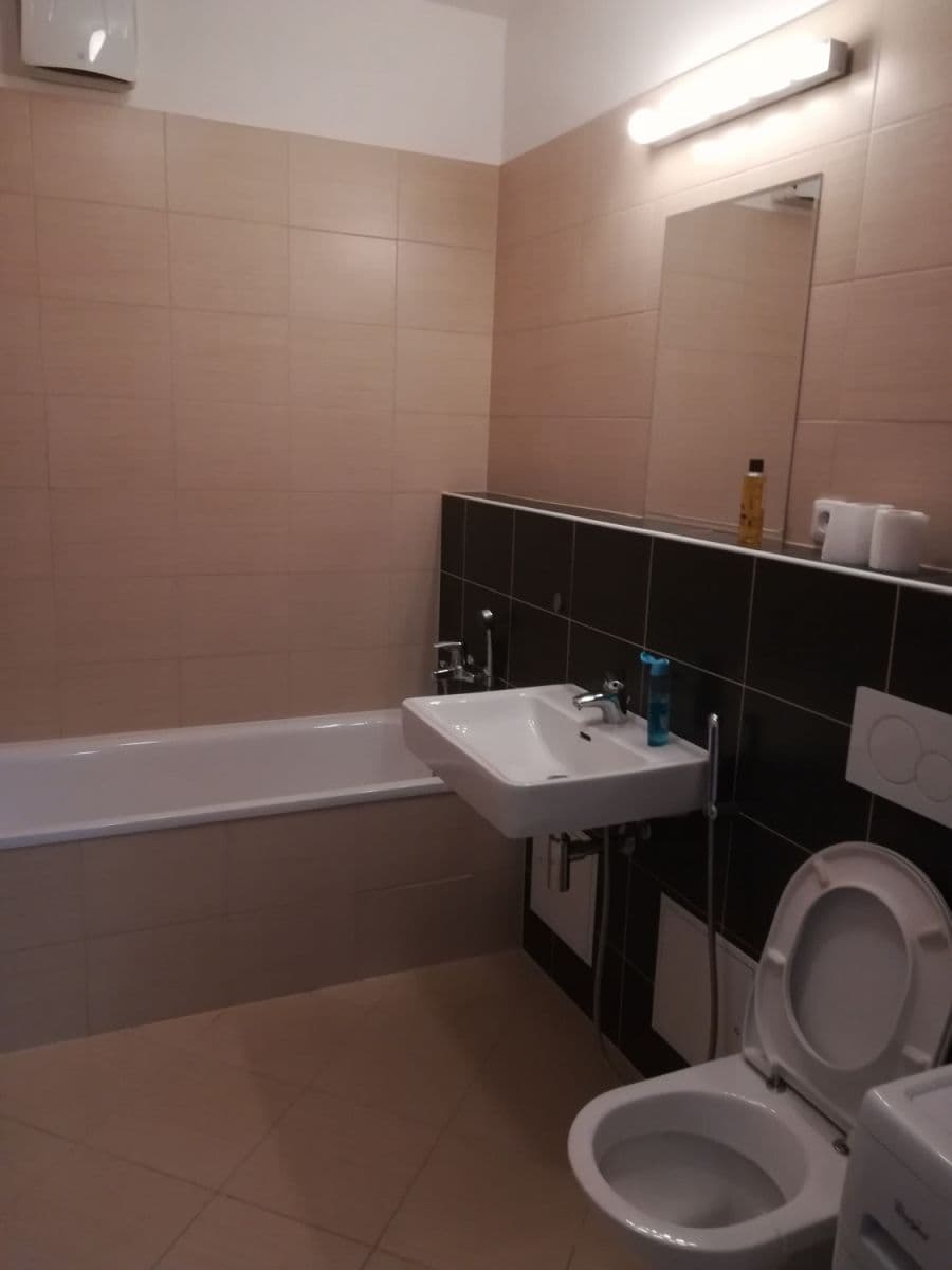 flat to rent, 40 m², Nad Přehradou, Prague, Prague