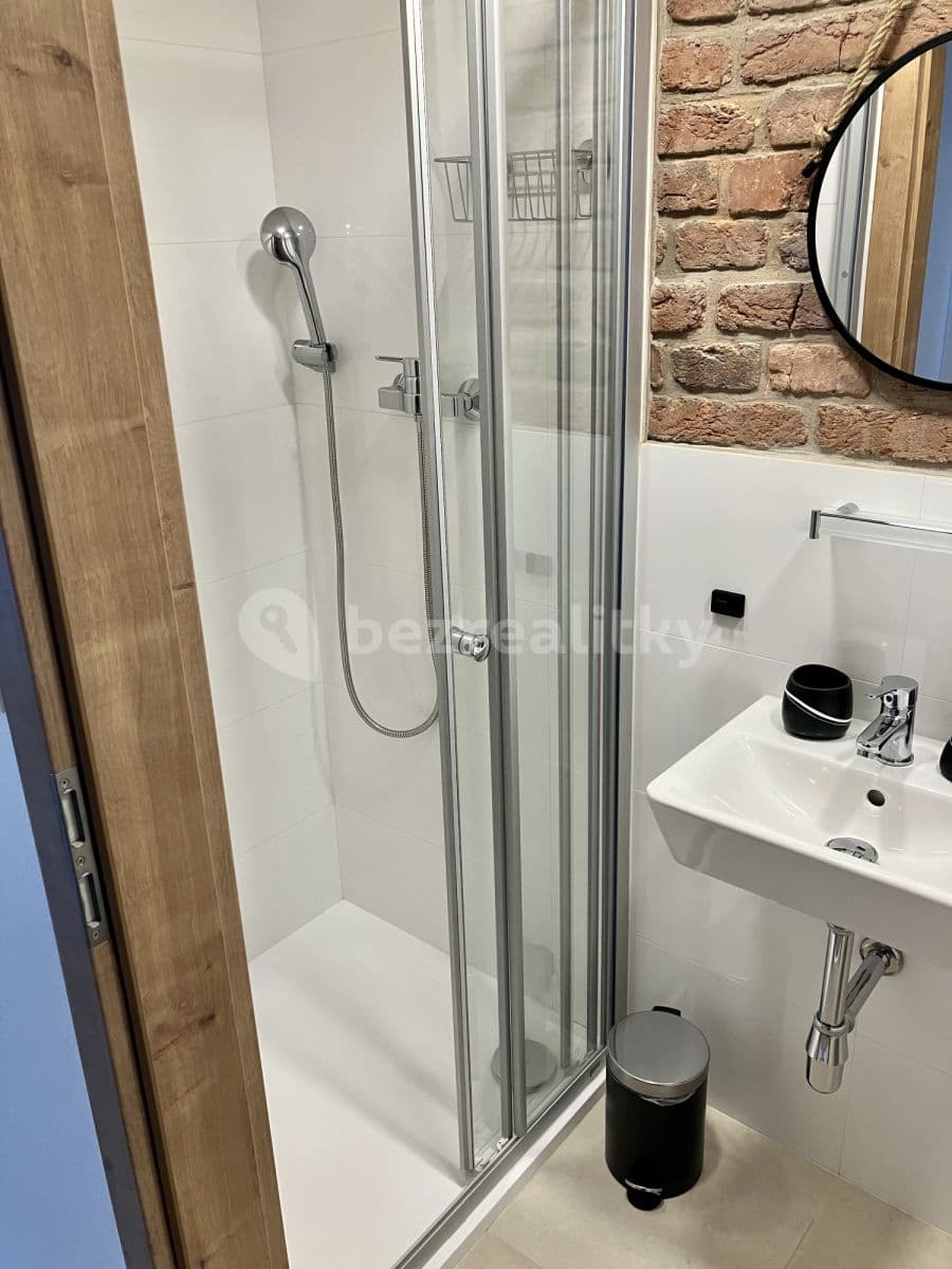 flat to rent, 22 m², Radlická, Prague, Prague