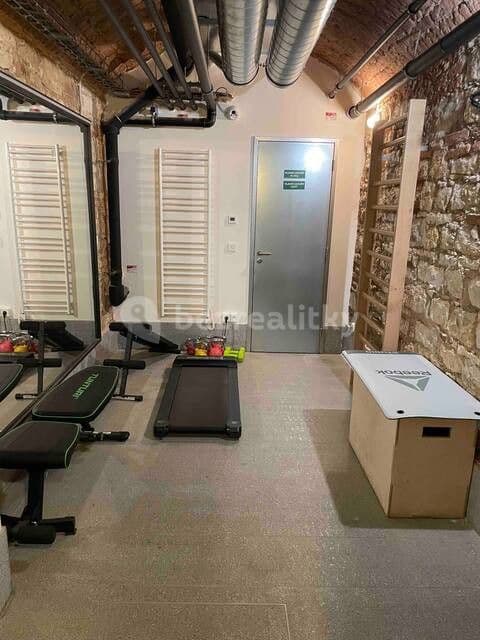 flat to rent, 40 m², Dlážděná, Prague, Prague