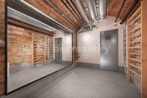 flat to rent, 40 m², Dlážděná, Prague, Prague