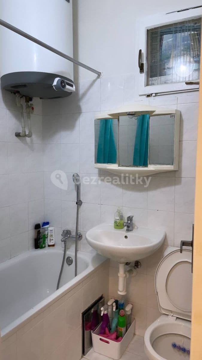 flat to rent, 55 m², Přemyslovská, Prague, Prague