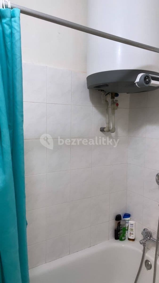 flat to rent, 55 m², Přemyslovská, Prague, Prague