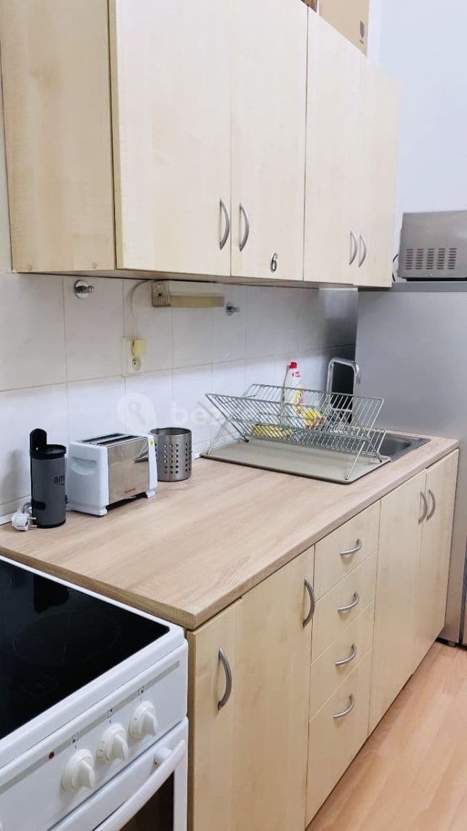 flat to rent, 55 m², Přemyslovská, Prague, Prague