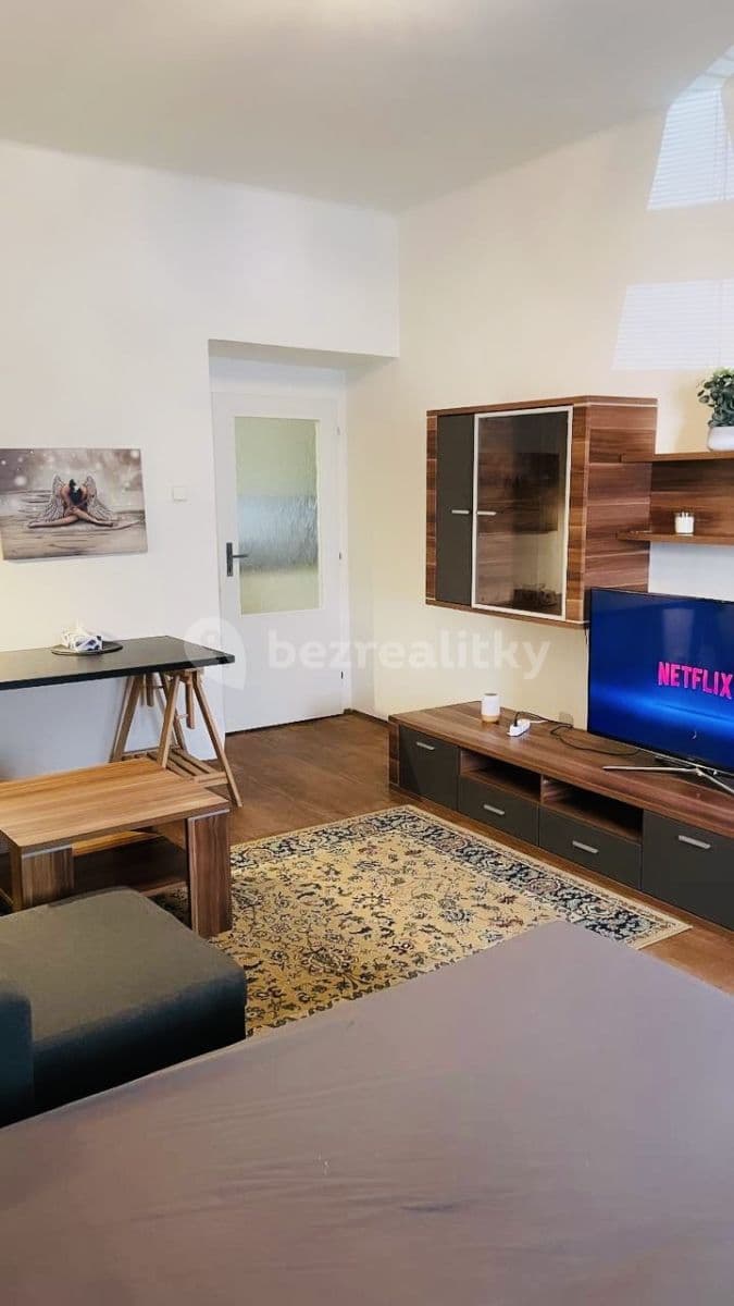 flat to rent, 55 m², Přemyslovská, Prague, Prague