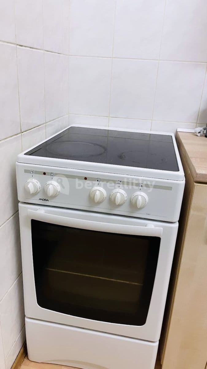 flat to rent, 55 m², Přemyslovská, Prague, Prague