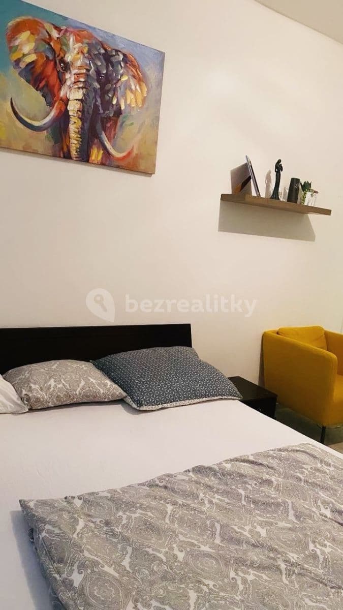 flat to rent, 55 m², Přemyslovská, Prague, Prague