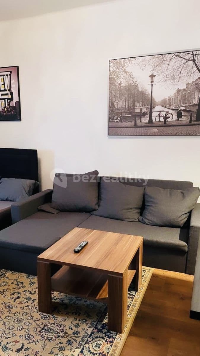 flat to rent, 55 m², Přemyslovská, Prague, Prague