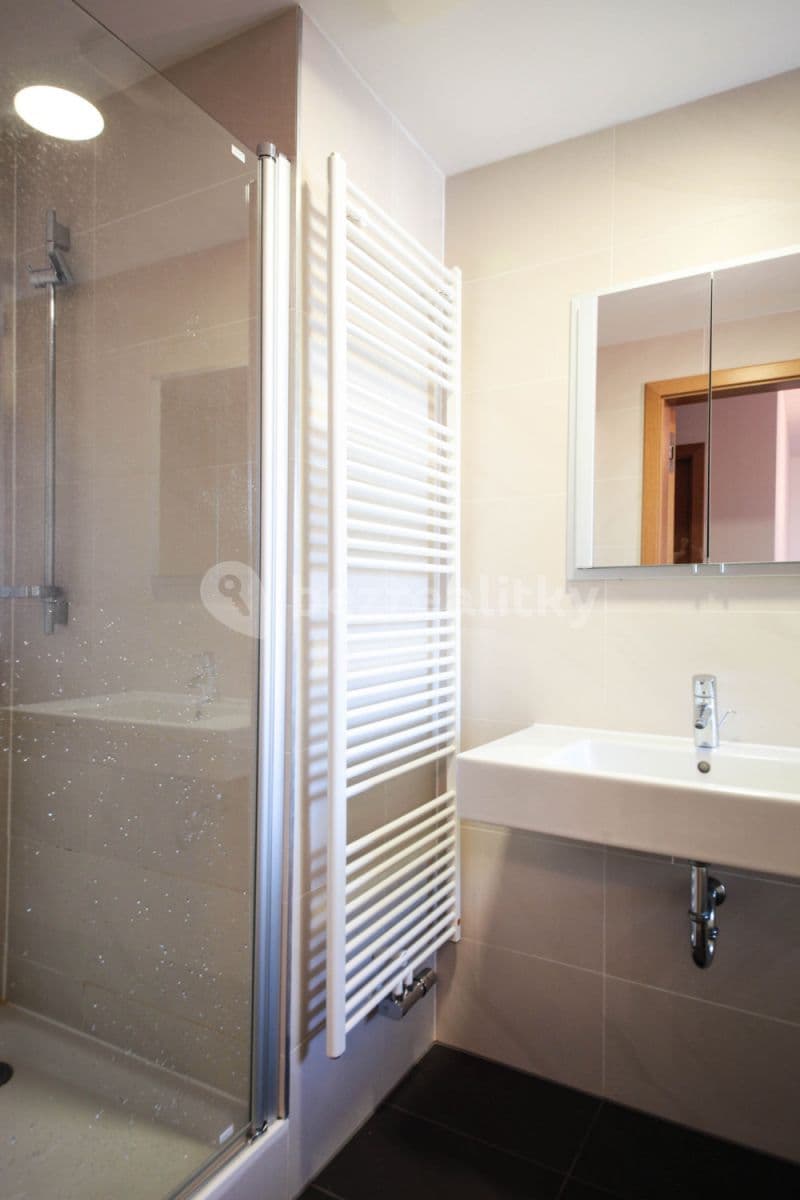 flat to rent, 100 m², Ke Kapslovně, Prague, Prague