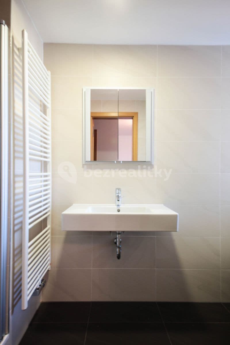 flat to rent, 100 m², Ke Kapslovně, Prague, Prague